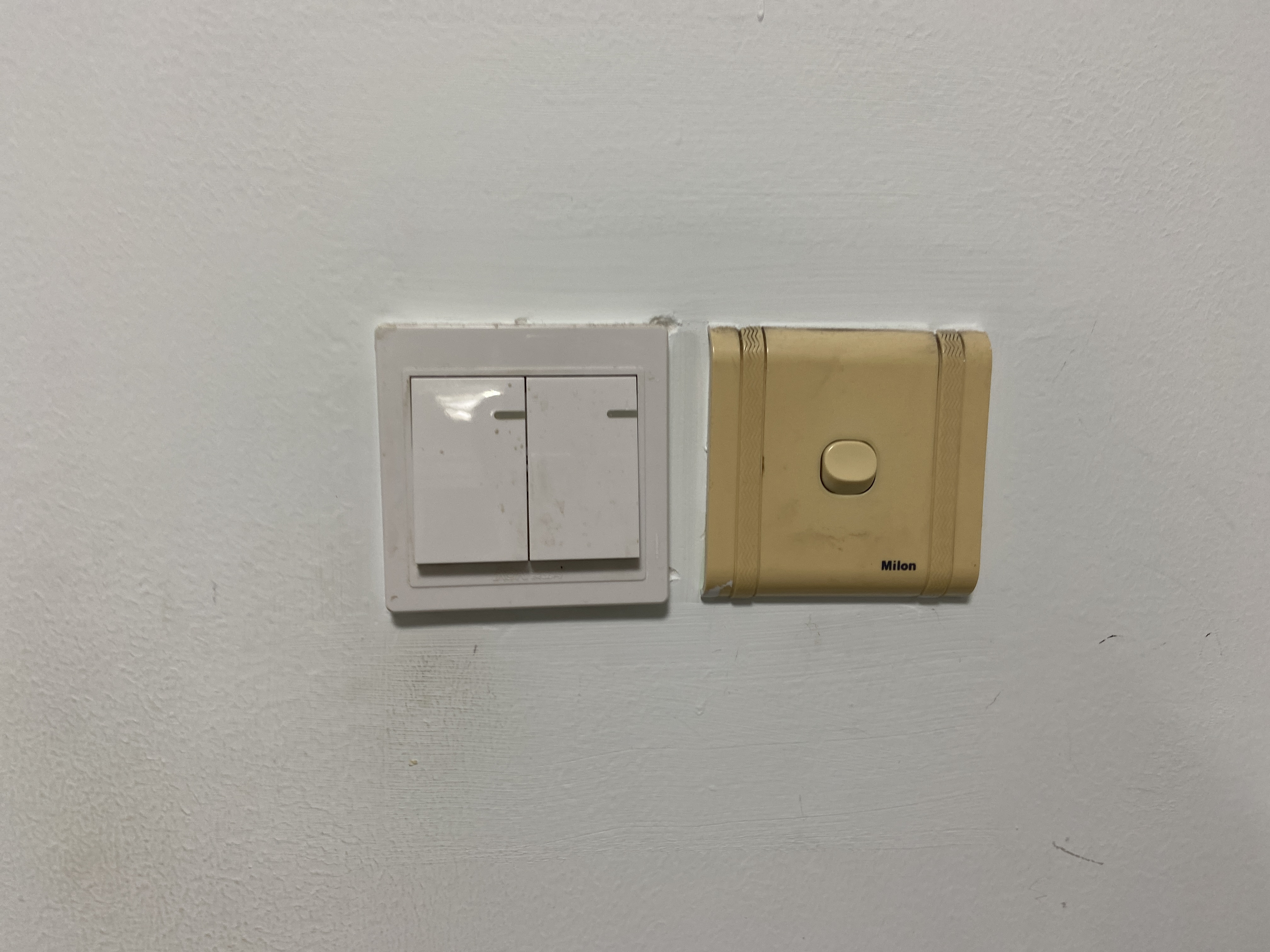 最新動態