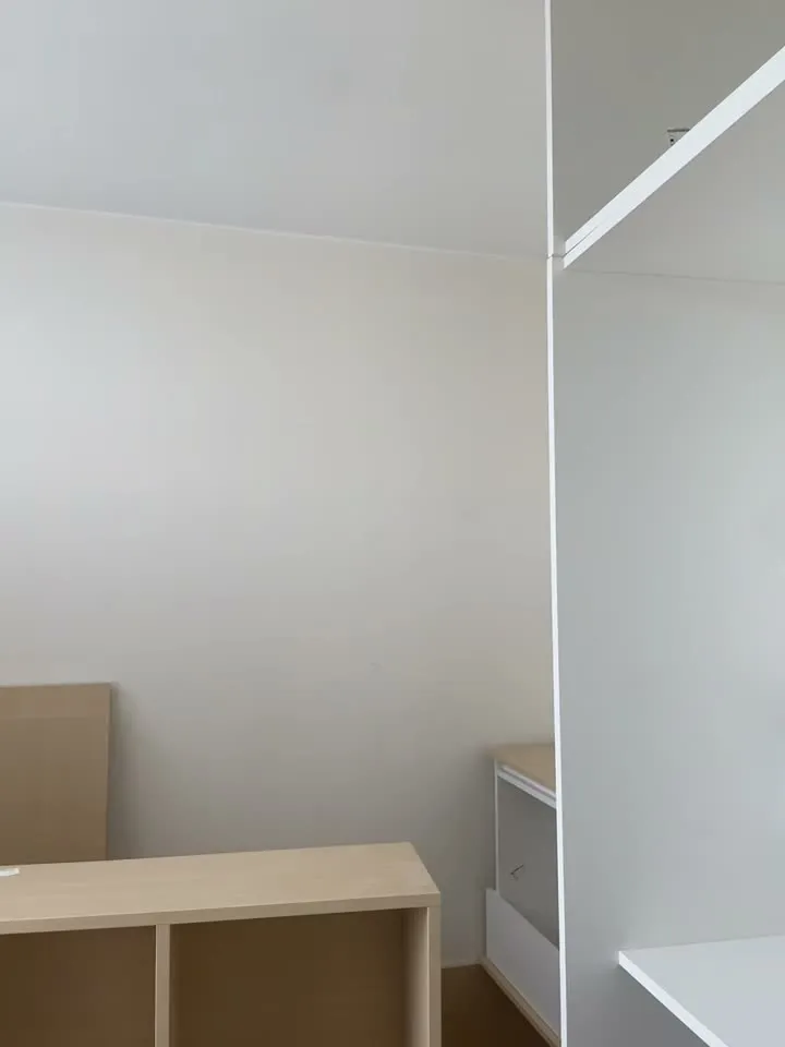 最新動態